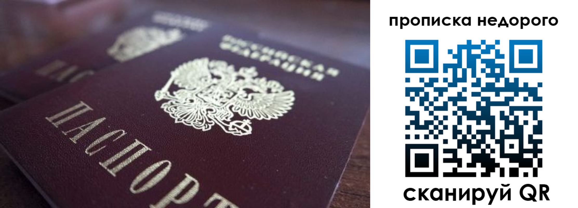 прописка штамп в Нововоронеже
